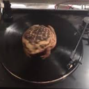 SpinningFrogCo-SFC_Custom_Paintings icon