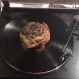 SpinningFrogCo-SFC_Custom_Paintings icon