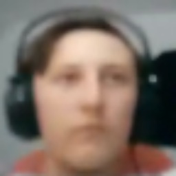 Split-WhoPaintedTheMonaLisa icon