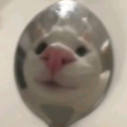 SpoonGang-SpoonGangShi icon