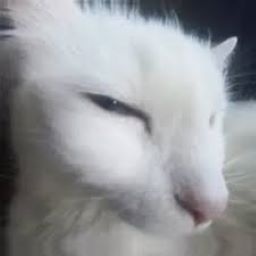 Spyryx9-TheMostLethalCompany_And_More icon