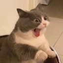 Squiggly_Noodles-Squiggle_Bois icon