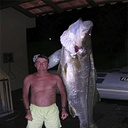 StarChaser-BolsonaroPosters icon