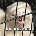 Stark_03-Svinpauk icon