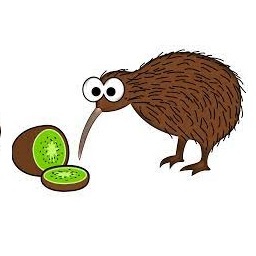 Stonebirds-StoneBirdsplus icon