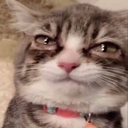 StormSheet-ShitStorm_TvLoader_ icon