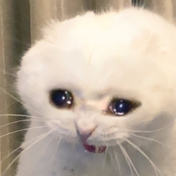 StriderBros-MPack_for_my_Bros icon