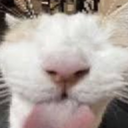 StyDUI-WIPdriving icon