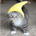 Supa-Migo_Posters icon