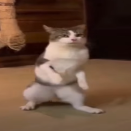 SuperM3ch2-super_tv_meme_pack icon