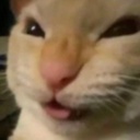 Superdenn-DennMusicPack icon