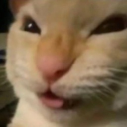 Superdenn-DennMusicPack icon