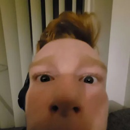 SussyWussies-modtranfusion icon