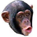 Svallforce-LegoFriendsModpacc icon