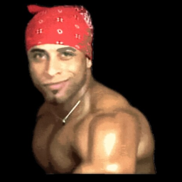 Swellshinider-LaBraba_modpack icon