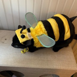 SwimBoi-Swim_Modpack icon