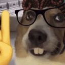 Syciwi-LawyerSuit icon