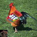 TCE-Rubbing_Peanut_Butter icon