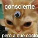 TDL-Ar3_Videos_random icon