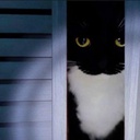 TDP-TestigosDePequiMODS icon