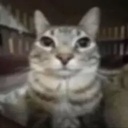 THORNBUSH-LethalChicanery icon