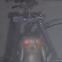 TMZ-LethalLootBug icon