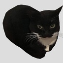 TMZ-MaxwellJester icon