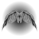 TQN-AngelWings icon