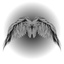 TQN-AngelWings-1.2.1 icon