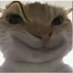 T_Explorers-Fusion icon