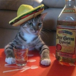 TacoBoys-Taco_Pack icon