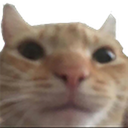 TacoCat-Laid_Back_Gauntlet icon