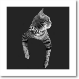 TacoMissile-TacoCatSex icon