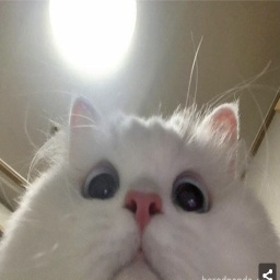 Taell-Taell_ModPack icon