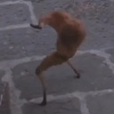 Tako_Uprising-TakoLethal2 icon