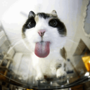 TeamBuh-BuhModpack icon