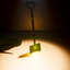 TeamCosmic-GoldenShovel-1.0.6 icon