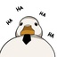 TeamDuck-Meme_Music-1.0.3 icon
