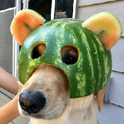 TeamPapitasConSal-Otro_modpack_miado_porque_siempre_se_chingan_solos_los_mods icon