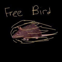 TeamRTRD-ChaykaFreeBirdGrapple icon