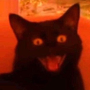 TeamX-xspalkermodpack icon