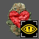 Team_FTA-FTA_Content_Warning_Pack icon