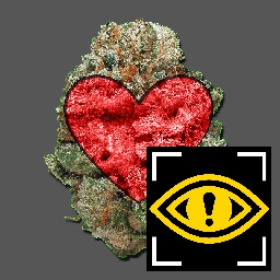 Team_FTA-FTA_Content_Warning_Pack icon