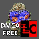 Team_FTA-FTA_DMCA_Free_Mixtape icon
