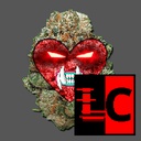 Team_FTA-FTA_Enemy_Expansion icon