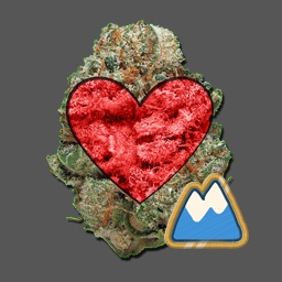 Team_FTA-FTA_PEAK_Pack icon