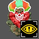 Team_FTA-FTA_Silly_Goofy_Content_Pack icon