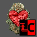 Team_FTA-Friendly_Toker_Pack icon