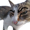 Team_Muffin-Skirt_My_Gurt icon