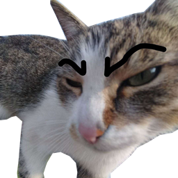 Team_Muffin-Skirt_My_Gurt icon